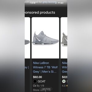 LeBron Grey Basketball shoes